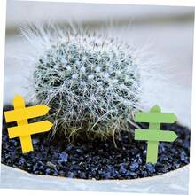 10pcs/Set Mini Wooden Road Sign Decor, Suitable For Fairy Garden, DIY Potted Plants And Succulents Decoration, Freestanding Mini Fence Posts, Multi-Color Options - Multicolor - View 5