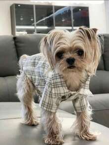 春夏宠物狗/猫格子衬衫衣服，时尚可爱，适合中小型犬。 - 卡其色 - 查看 3