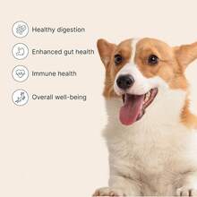Two Piece Combination Set PetLab Co.Dog Allergy And Immune Probiotic Food And  Cat And Dog Dental Formula, Keep Cat And Dog Breath Fresh And Teeth Cleansnacks, Chew Dogs, Healthy Enzymes, Healthy Digestion, Intestinal Support,Honey Flavor. - Combo Pack - View 3