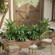 1 件 20.86 英寸多款式人造巴西木树叶 - 可调节枝条设计，适用于日常家居装饰 - 巴西木 - 查看 1