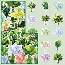 50张简约清新柚子叶装饰贴纸，传统文化祝福贴纸，可用于杯子、信封、书架等。 - 彩色 - 查看 4