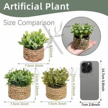 3 chậu cây mini đan nhân tạo: Ba hình dạng độc đáo - Lá tre gai, Lá lạc và Cỏ kim tiền, dây cỏ biển, quà tặng, cây nhân tạo, ụ cây, màu xanh lá cây, chất liệu PE, sợi polyester, làm thủ công, trang trí mùa cưới, quà tặng tốt nghiệp, trang trí nhà cửa. - Xanh-L - Xem 8
