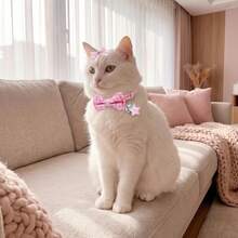 1个可拆卸蝴蝶结猫项圈，带铃铛和星星装饰，可调节扣环，耐用宠物项圈，附赠可爱发夹，适合猫咪和小型犬，是理想的宠物礼物。 - 彩色 - 查看 6