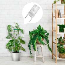 Plant Supports For Climbing Plants With Ties - 30x12cm Supports With Ground Spike, Moss Compatible