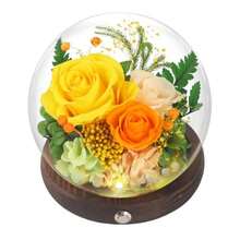 Valentines Day Gifts For Her Forever Rose Birthday Gifts For Women Preserved Flowers In Glass Dome Eternal Flowers For Delivery Prime Yw Rose - 黃玫瑰 - 查看 1