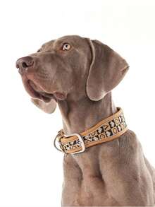 宠物项圈，宽反光狗项圈，狗项圈，狗狗用品，加宽宠物狗项圈，狗颈圈，大型犬项圈，夜间反光项圈，高密度耐用织带项圈，宠物配件，耐用耐磨 - 彩色 - 查看 8