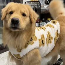 新款秋冬毛绒泰迪熊、金毛寻回犬、猫咪宠物背心服装、家居服 - 彩色 - 查看 6