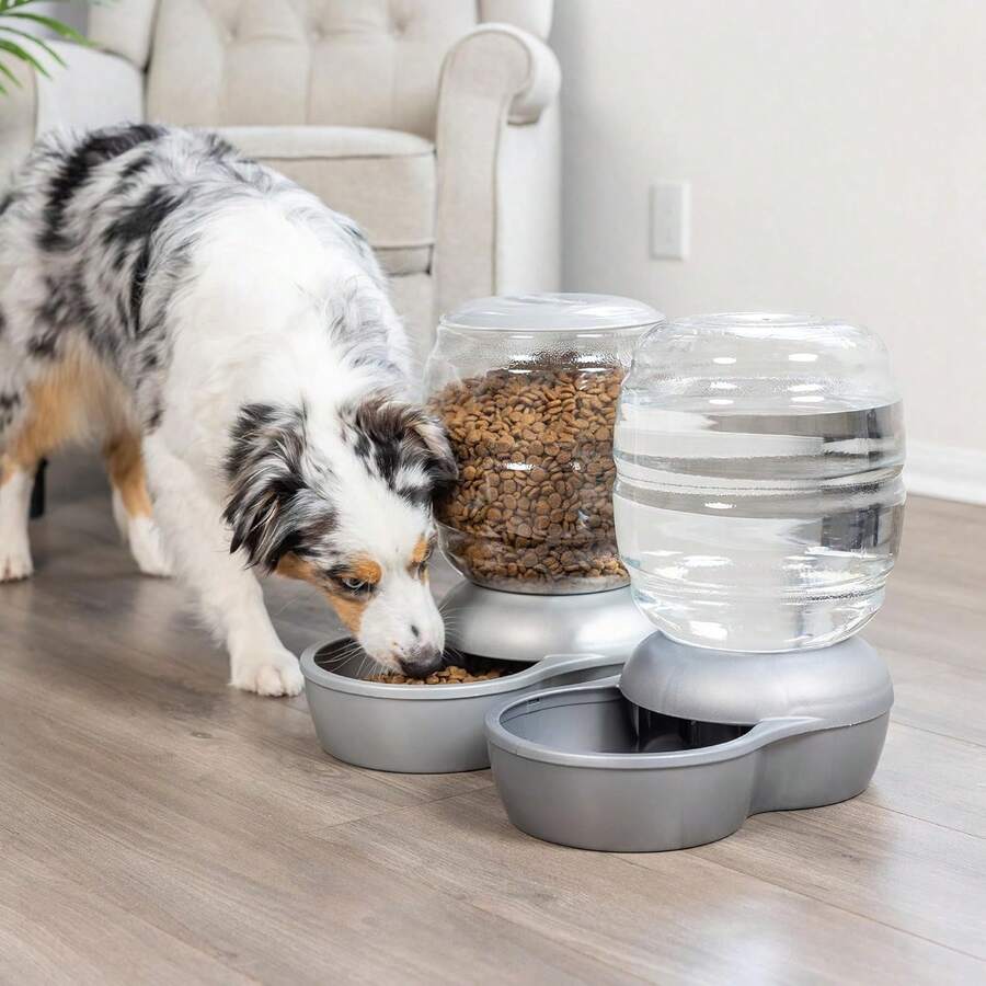 0.5-Gallon Gravity Pet Waterer With Charcoal Filter, Automatic Water Dispenser For Cats & Dogs, Easy To Clean And Refill, Extended Fresh Water Supply For Multi-Pet Homes - 64 液盎司 - 查看 1