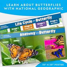 CYPNNATIONAL GEOGRAPHIC Butterfly Growing Kit - Butterfly Habitat Kit with Voucher to Redeem 5 Caterpillars $10.95 SandH Not Included Butterfly Cage Feeder ( Exclusive)Fashion - como en la foto - Ver 6