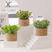 3 chậu cây mini đan nhân tạo: Ba hình dạng độc đáo - Lá tre gai, Lá lạc và Cỏ kim tiền, dây cỏ biển, quà tặng, cây nhân tạo, ụ cây, màu xanh lá cây, chất liệu PE, sợi polyester, làm thủ công, trang trí mùa cưới, quà tặng tốt nghiệp, trang trí nhà cửa. - Xanh-L - Xem 6