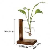 Retro Hydroponic Bulb-Shaped Glass Vase With Wooden Stand - Plant Propagation Station For Home Decor - Set Of 2 Containers - Brown - View 6