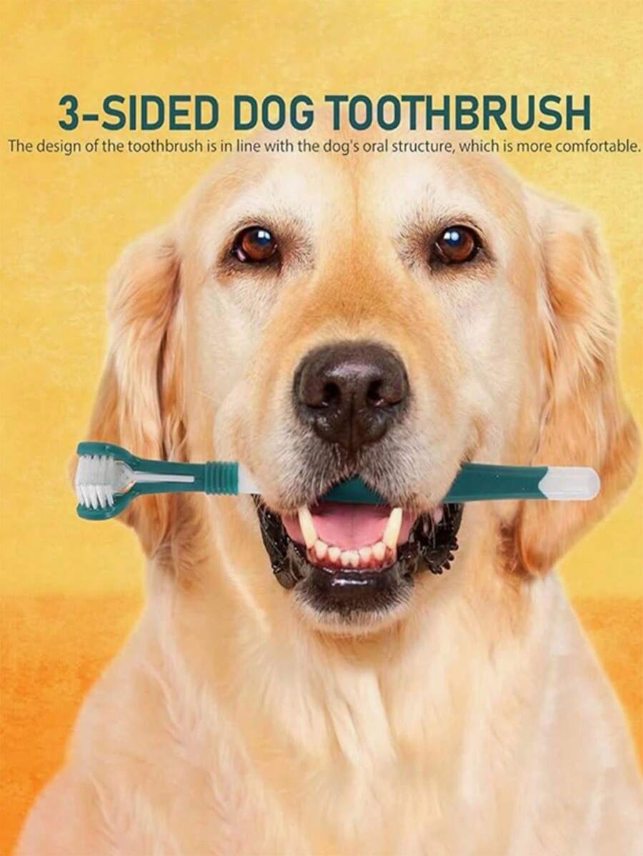 3件套宠物犬猫牙刷套装，小型犬牙刷，宠物指套牙刷，宠物牙齿清洁玩具，三面宠物牙刷清洁TPR套装 - 彩色 - 查看 1