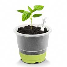 4英寸无盖育苗杯 - 种子萌发托盘，透明育苗盆 - 可重复使用的塑料花盆，底部加固，方便移栽和播种，植物发芽托盘，完美的新年礼物，生日礼物 - 淺綠色 - 查看 9