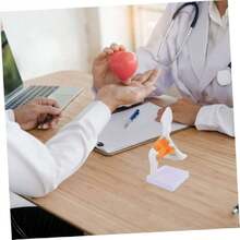 Modelo Anatómico De Articulación De Cadera Humana Con Soporte Modelo De Esqueleto Para Estudio Médico Enseñanza Escolar Y Uso En Casa 10.63X4.72X4.72 Pulgadas,39837143 - Multicolor - Ver 6