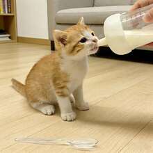 宠物喂奶瓶 - 模拟妈妈乳房的宠物喂奶瓶 - 婴儿防呛喂奶器，滴入口中。自动控制压力。 - 彩色 - 查看 11