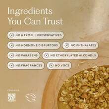 Branch Basics Fragrance-Free Bathroom Cleaner | Tough On Dirt & Grime | Plant-Powered Formula | For Sensitive Skin | Versatile For All Bathroom Surfaces |  Refill System,Health & Home, Home Products, Household Cleaning, Kitchen Cleaners - mặc định - Xem 4