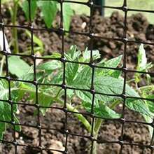 Malla gallinera | Malla pollera | Proteccin para Jardines y canceles | NO se oxida | Plstica | De Calidad | Larga duracin (1x2 Metros con Cuadro de 16x19 mm) - 1x2 metros con cuadro de 16x19 mm - Ver 4