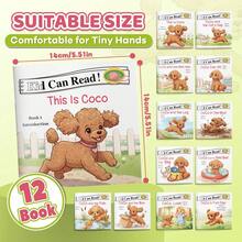 Learn-To-Read Mini Story Collection, Simple Vocabulary And Repeated Sentence Patterns For Confidence Building, Great For Phonics Practice, First Readers And Quiet Reading Time - Kid Can Read03 - View 2