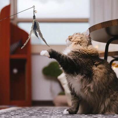 ソンウェイ 猫のジャラシおもちゃ、羽根、ベルと6種類の羽根、釣り竿付き