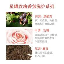 Champú de fragancia Jmella importado de Corea, suave y voluminoso, fragancia duradera para hombres y mujeres, champú para cuero cabelludo graso - Champú para fiestas en el jardín n.° 01 - Ver 5