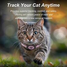 Elastic Cat Collar With Support Compatible With Apple Airtag, Light And Comfortable, Ultra Elastic Necklaces For Cats, Kittens And Puppies, 7.5-12.5 Inches Does Not Contain Airtag QR ID TAG