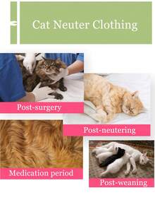Lightweight Breathable Elastic Cat Spay/Neuter Suit, Summer, Anti-Lick Anti-Scratch Post-Surgery Wear - Multicolor - View 6