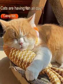 1pc Cat Toy Catnip Fish Pet Chew Bite Toys For Cats Funny Interactive Soft Simulation Fish Kitten Training Playing Toy Cat Supplies - Multicolor - View 7