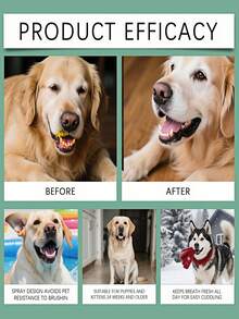 YEGBONG 宠物口腔喷雾 - 清新宠物口气，去除异味和牙垢，适用于猫狗日常清洁。便捷喷雾，无需刷牙即可保持口腔卫生，温和清洁牙齿，清新口气。 - 彩色 - 查看 8