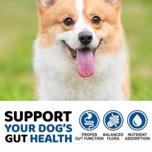 Two Piece Combination Set PetLab Co.Dog Allergy And Immune Probiotic Food And  Cat And Dog Dental Formula, Keep Cat And Dog Breath Fresh And Teeth Cleansnacks, Chew Dogs, Healthy Enzymes, Healthy Digestion, Intestinal Support,Honey Flavor. - Combo Pack - View 8