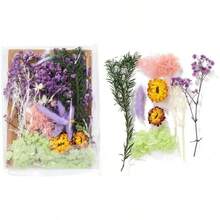 Real Dried Flowers Crafts, Natural Dry Flowers Crafts Mixed Natural Pressed Flowers, Small Dried Flowers Resin Dry Flowers Candle Making Purple 1 - Purple 1 - 查看 3
