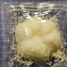 1件 2026新款油炸仿真食物玩具，炸猫爪华夫饼，炙烤鲭鱼，解压玩具 - 香脆汉堡挤压玩具 - 生日礼物 - 完美礼物 - 收藏品 - 爱好收藏家 - 送礼佳品 - 彩色 - 查看 8