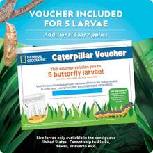 CYPNNATIONAL GEOGRAPHIC Butterfly Growing Kit - Butterfly Habitat Kit with Voucher to Redeem 5 Caterpillars $10.95 SandH Not Included Butterfly Cage Feeder ( Exclusive)Fashion - como en la foto - Ver 7