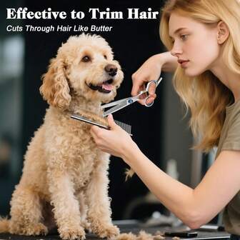 专业四合一犬猫美容剪刀套装，安全圆头，锋利耐用，包含直剪、弯剪、稀毛剪和梳子 - 高级宠物用品