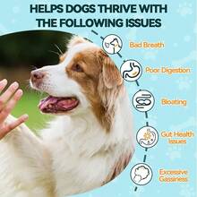 Two Piece Combination Set PetLab Co.Dog Allergy And Immune Probiotic Food And  Cat And Dog Dental Formula, Keep Cat And Dog Breath Fresh And Teeth Cleansnacks, Chew Dogs, Healthy Enzymes, Healthy Digestion, Intestinal Support,Honey Flavor. - Combo Pack - View 4