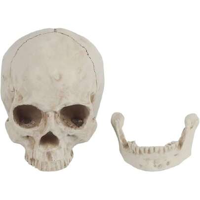 Cráneo Humano Anatómico de Resina Tamaño Real con Mandíbula Articulada y Base para Estudios de Medicina Decoración de Halloween o Fiestas Temáticas,39837153