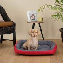 Pet BedCama para Perro Resistente Confortable con Relleno Suave Medidas y Color a Elegir Medium Fucsia/Gris - Medio - Ver 3