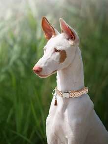 1pc Boho Style Collar For Small/Medium/Large Dogs, Soft Adjustable Collar With D-Ring & Tassel, & Comfortable, Suitable For Dog Valentine's Day Gift - Multicolor - View 7