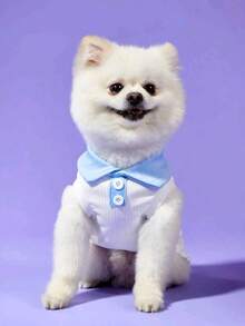 宠物狗衣服，T恤，背心，Polo衫，休闲可爱运动套装，适合泰迪犬、贵宾犬、马尔济斯犬、雪纳瑞犬等，四季皆宜 - 白色 - 查看 12