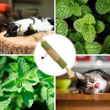 1 Pack Cat Cat Toys, Cat Sticks, Indoor Cat Toys, Cat Chew Toys, Kitten & Cat Treats, Cat Dental Chew Toys - Multicolor - View 17