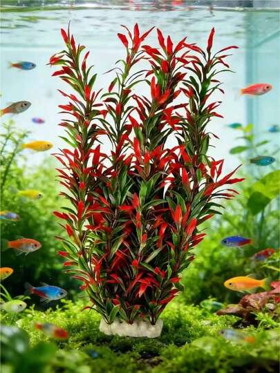 1pc Red Artificial Aquatic Plant Decoration, PE Material, Ceramic Base, Compatible With Large Aquarium, Aquarium Decor, Fish Tank Landscaping, Soft Realistic Plastic Aquatic Plant, Slouchy Person Scenery Ornament
