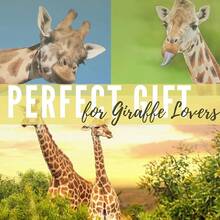 Giraffe Gifts With Initial, 20oz Insulated Stainless Steel Tumblers With Lids And Straws, Perfect Gifts For Giraffe Lovers, Girls, Women For Christmas & Birthday - R - View 8