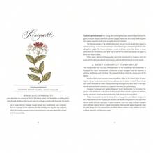 Jane Austen's Garden: A Botanical Tour Of The Classic Novels - Default - View 4