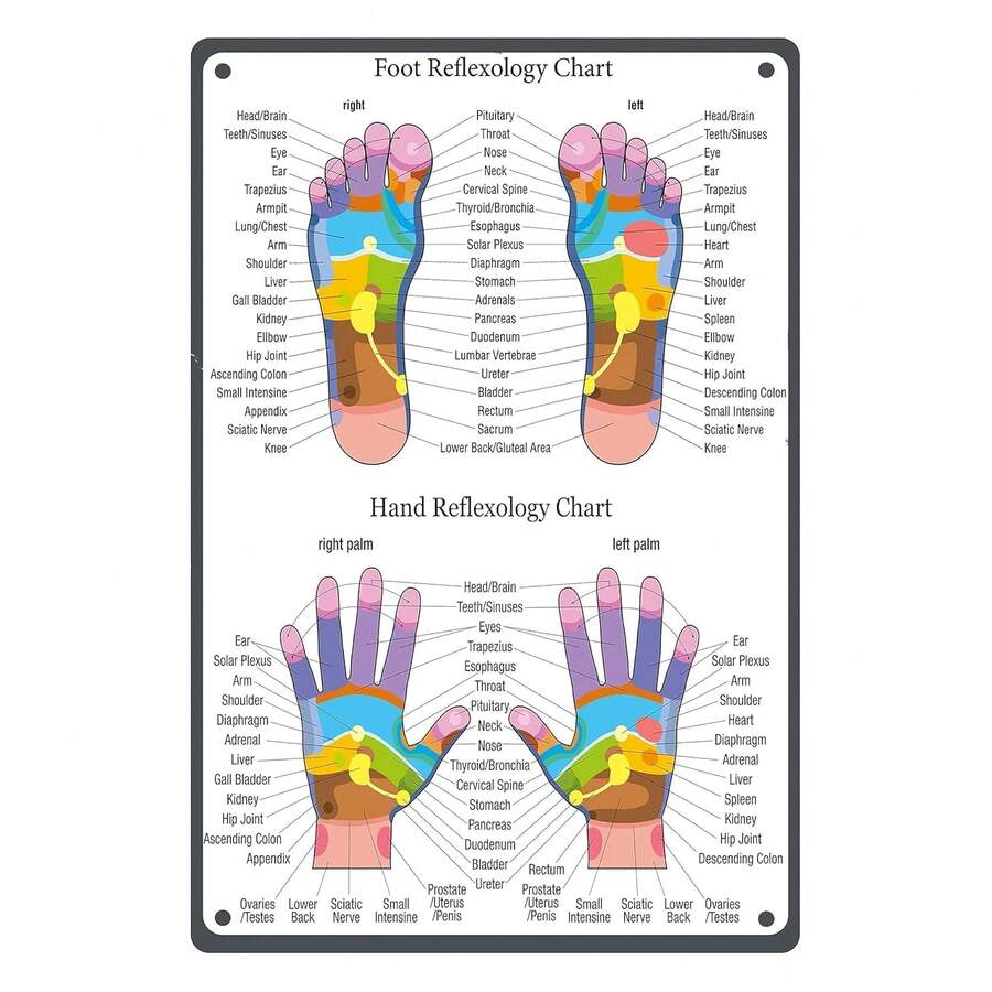 Hand Foot Reflexology Chart Metal Tin Sign Poster Wall Art Decor Plaque For Home Bedroom Yoga Studio Suitable For Holiday Decoration, Daily Embellishment & Gift-Giving - Nhiều màu - Xem 1