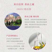 Champú de fragancia Jmella importado de Corea, suave y voluminoso, fragancia duradera para hombres y mujeres, champú para cuero cabelludo graso - Champú para fiestas en el jardín n.° 01 - Ver 1