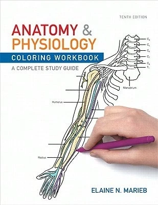 Pre-Owned Anatomy & Physiology Coloring Workbook: A Complete Study Guide (Paperback) By Elaine Nicpon Marieb