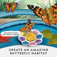 CYPNNATIONAL GEOGRAPHIC Butterfly Growing Kit - Butterfly Habitat Kit with Voucher to Redeem 5 Caterpillars $10.95 SandH Not Included Butterfly Cage Feeder ( Exclusive)Fashion - como en la foto - Ver 3