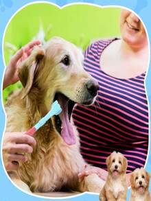 3pcs Pet Dog & Cat Toothbrush Set, Small Dog Toothbrush, Pet Finger Toothbrush, Pet Teeth Cleaning Toys, 3-Sided Pet Toothbrush Cleaning TPR Set - Multicolor - View 5