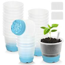 4 pulgadas Taza de semillero sin tapa - Bandejas de inicio de semillas, Macetas de semillero transparentes - Macetas de plástico reutilizables con base reforzada, para un trasplante y un inicio de semillas fáciles, Bandejas de germinación de plantas, Perfecto, Regalo de Año Nuevo, Regalo de cumpleaños - verde claro - Ver 9