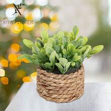 3 chậu cây mini đan nhân tạo: Ba hình dạng độc đáo - Lá tre gai, Lá lạc và Cỏ kim tiền, dây cỏ biển, quà tặng, cây nhân tạo, ụ cây, màu xanh lá cây, chất liệu PE, sợi polyester, làm thủ công, trang trí mùa cưới, quà tặng tốt nghiệp, trang trí nhà cửa. - Xanh-L - Xem 12