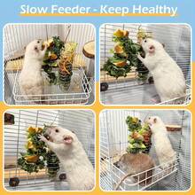 2件套鹦鹉悬挂式喂食器套装，不锈钢蔬菜篮悬挂式喂食器用品食物托盘配件 - 彩色 - 查看 3